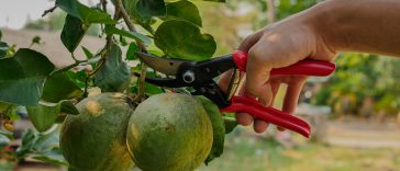 เครื่องมือเกษตร