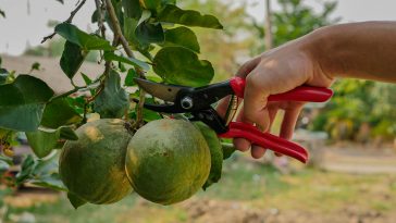 เครื่องมือเกษตร