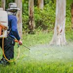 เครื่องพ่นยา