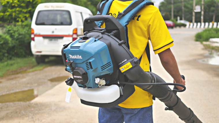 เครื่องเป่าใบไม้