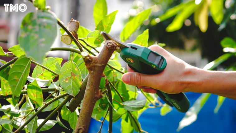 กรรไกรตัดแต่งกิ่ง