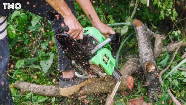 เลื่อยยนต์