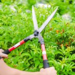 กรรไกรตัดหญ้า