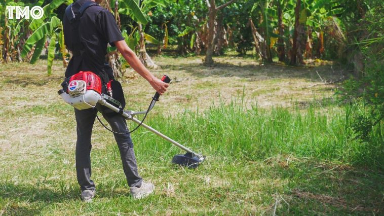 เครื่องตัดหญ้า