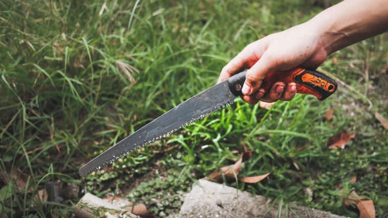 เลื่อยตัดกิ่งไม้