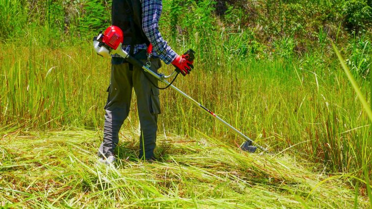 เครื่องตัดหญ้า