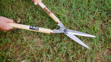 กรรไกรตัดหญ้า