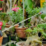 ก้านพ่นยา