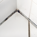 ซิลิโคน