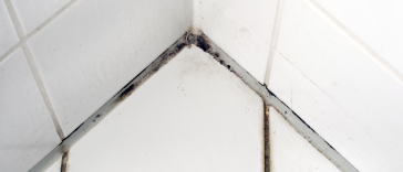 ซิลิโคน